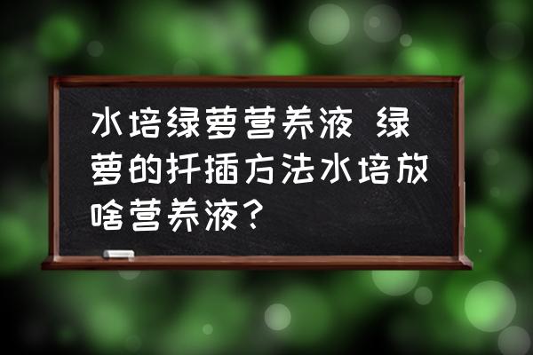 水培綠蘿營(yíng)養(yǎng)液 綠蘿的扦插方法水培放啥營(yíng)養(yǎng)液？