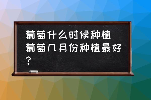 葡萄什么時(shí)候種植 葡萄幾月份種植最好？