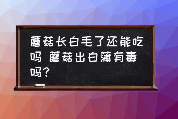 蘑菇長白毛了還能吃嗎 蘑菇出白蒲有毒嗎？