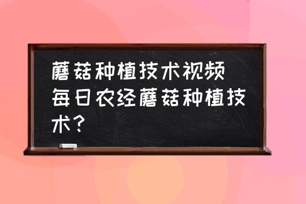 蘑菇種植技術視頻(每日農經蘑菇種植技術？)
