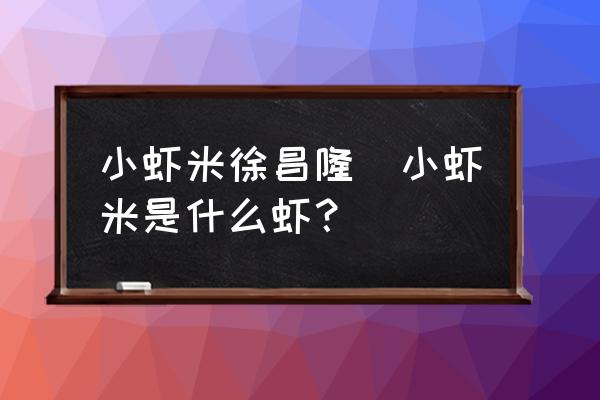 小蝦米徐昌隆(小蝦米是什么蝦？)