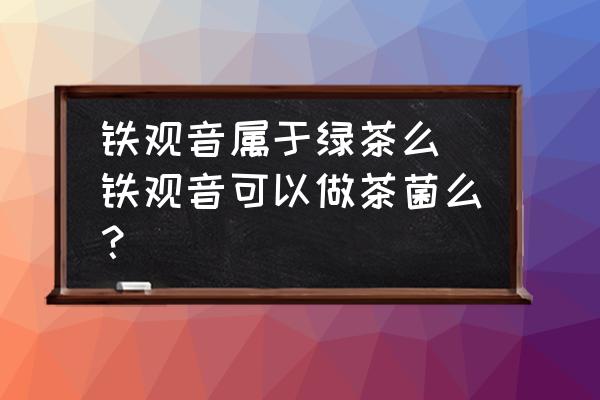 鐵觀音屬于綠茶么(鐵觀音可以做茶菌么？)