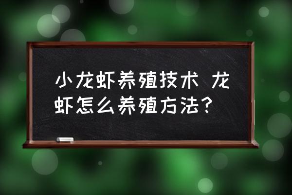 小龍蝦養(yǎng)殖技術(shù) 龍蝦怎么養(yǎng)殖方法？