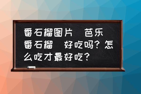 番石榴圖片(芭樂（番石榴）好吃嗎？怎么吃才最好吃？)