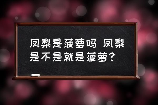 鳳梨是菠蘿嗎 鳳梨是不是就是菠蘿？