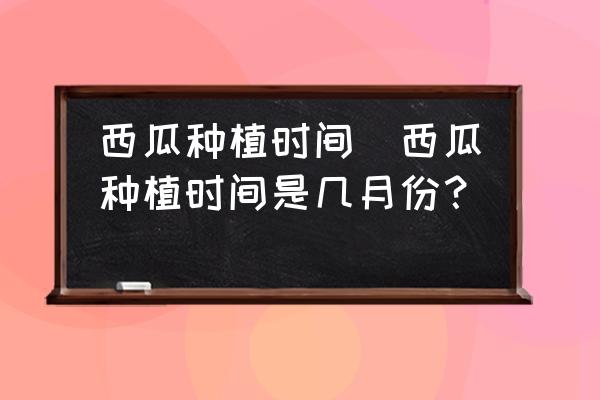 西瓜種植時間(西瓜種植時間是幾月份？)