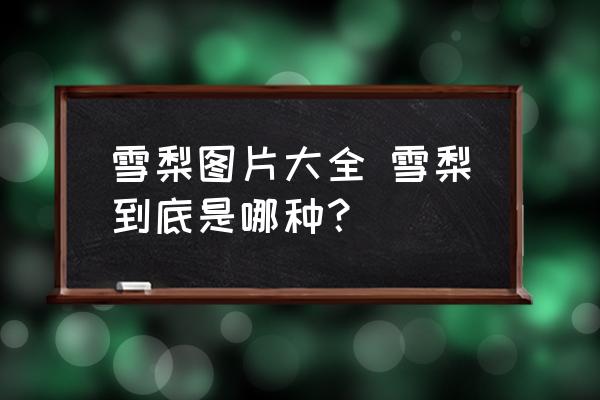 雪梨圖片大全 雪梨到底是哪種？