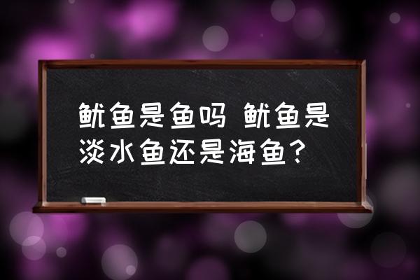 魷魚是魚嗎 魷魚是淡水魚還是海魚？