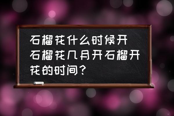 石榴花什么時候開 石榴花幾月開石榴開花的時間？