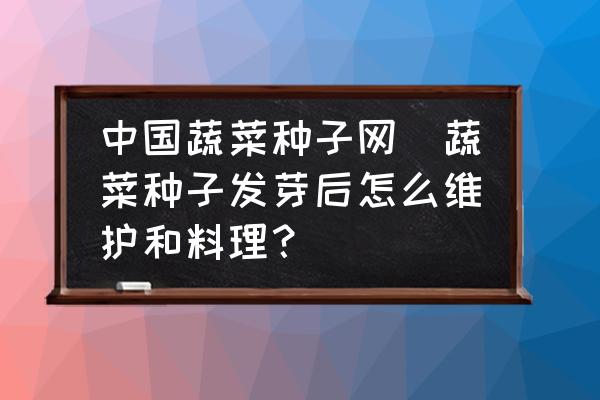 中國(guó)蔬菜種子網(wǎng)(蔬菜種子發(fā)芽后怎么維護(hù)和料理？)