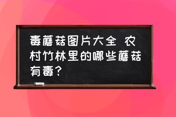 毒蘑菇圖片大全 農村竹林里的哪些蘑菇有毒？