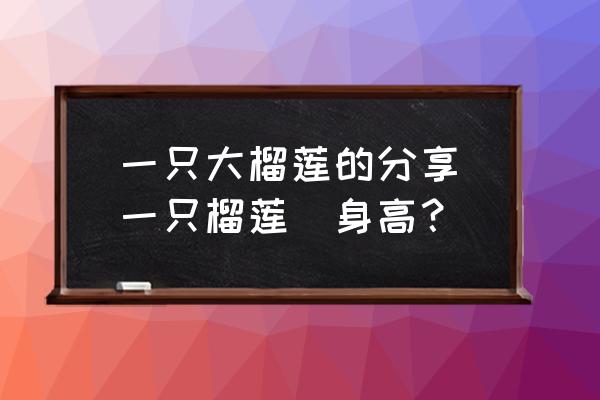 一只大榴蓮的分享(一只榴蓮(身高？)