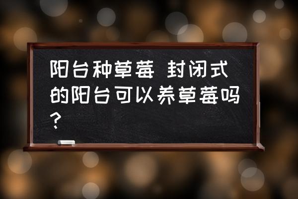 陽臺種草莓 封閉式的陽臺可以養(yǎng)草莓嗎？
