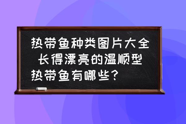 熱帶魚種類圖片大全 長得漂亮的溫順型熱帶魚有哪些？