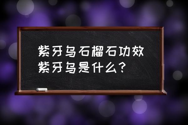紫牙烏石榴石功效(紫牙烏是什么？)