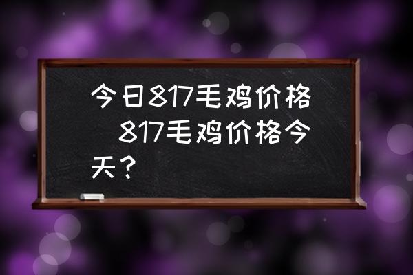 今日817毛雞價格(817毛雞價格今天？)