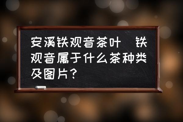 安溪鐵觀音茶葉(鐵觀音屬于什么茶種類及圖片？)