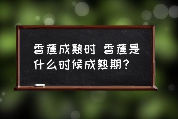 香蕉成熟時 香蕉是什么時候成熟期？
