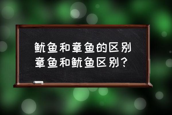 魷魚和章魚的區(qū)別(章魚和魷魚區(qū)別？)