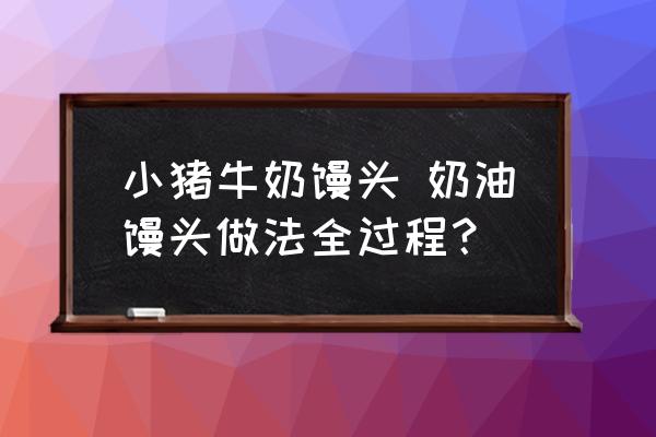 小豬牛奶饅頭 奶油饅頭做法全過程？