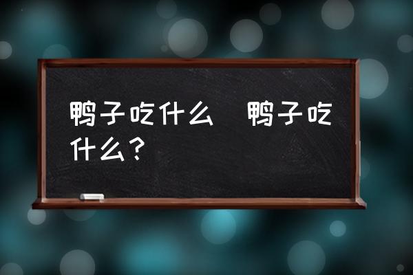 鴨子吃什么(鴨子吃什么？)