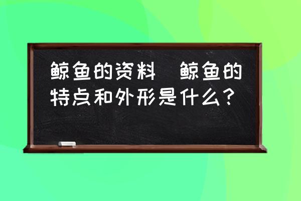 鯨魚的資料(鯨魚的特點(diǎn)和外形是什么？)