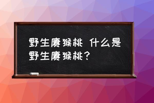 野生獼猴桃 什么是野生獼猴桃？