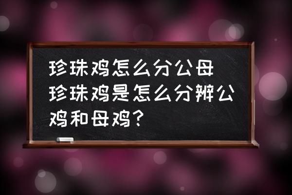 珍珠雞怎么分公母(珍珠雞是怎么分辨公雞和母雞？)