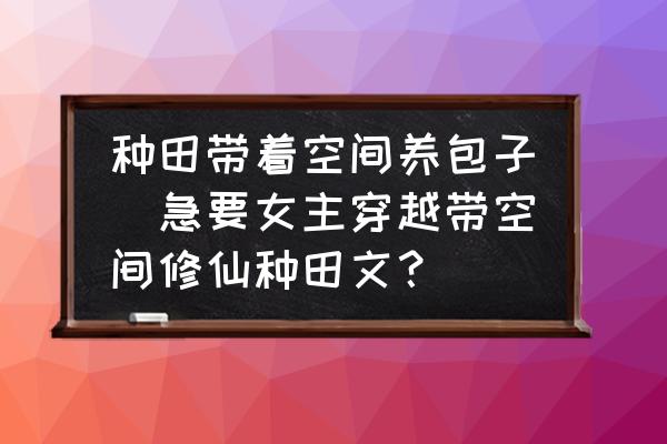 種田帶著空間養(yǎng)包子(急要女主穿越帶空間修仙種田文？)