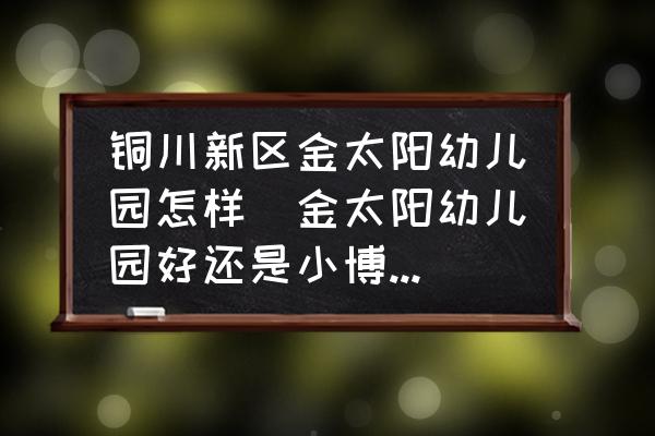 銅川新區(qū)金太陽幼兒園怎樣(金太陽幼兒園好還是小博士幼兒園好？)