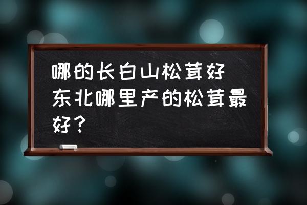 哪的長白山松茸好 東北哪里產(chǎn)的松茸最好？