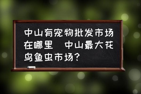 中山有寵物批發(fā)市場在哪里(中山最大花鳥魚蟲市場？)