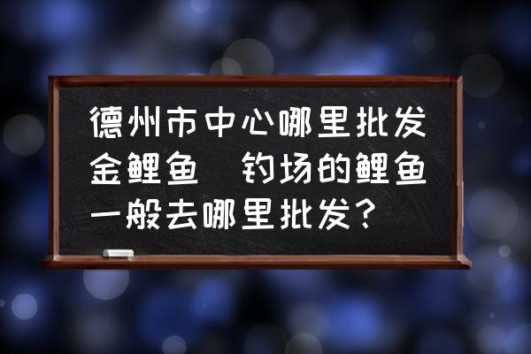 德州市中心哪里批發(fā)金鯉魚(釣場(chǎng)的鯉魚一般去哪里批發(fā)？)