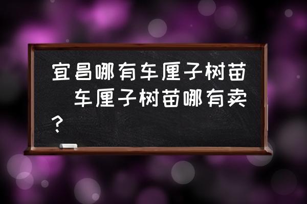 宜昌哪有車?yán)遄訕涿?車?yán)遄訕涿缒挠匈u？)