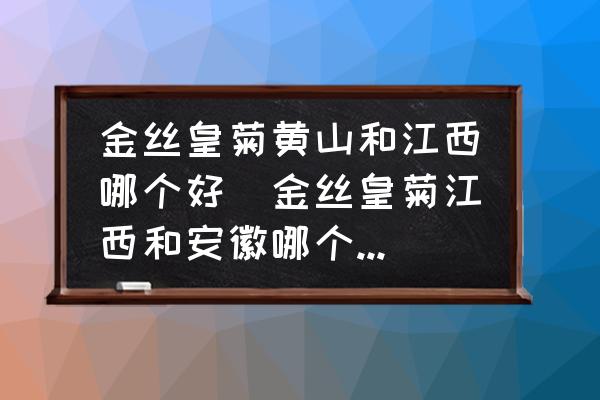 金絲皇菊黃山和江西哪個(gè)好(金絲皇菊江西和安徽哪個(gè)的好？)