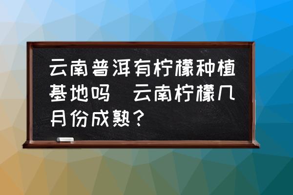 云南普洱有檸檬種植基地嗎(云南檸檬幾月份成熟？)