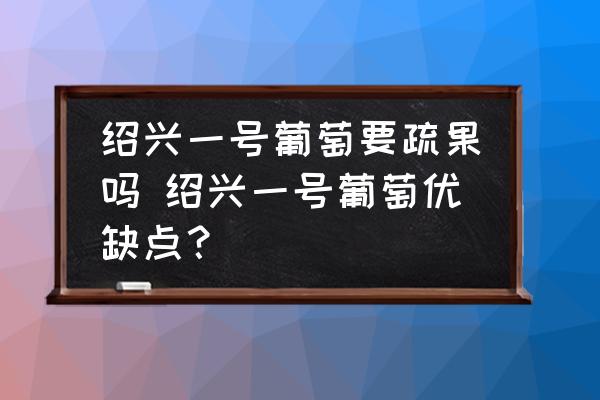 紹興一號葡萄要疏果嗎 紹興一號葡萄優(yōu)缺點(diǎn)？