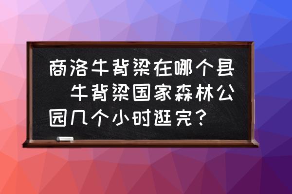 商洛牛背梁在哪個縣(牛背梁國家森林公園幾個小時逛完？)