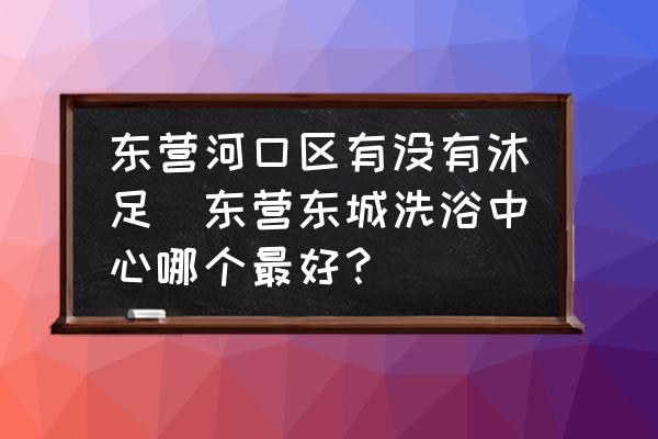 東營(yíng)河口區(qū)有沒(méi)有沐足(東營(yíng)東城洗浴中心哪個(gè)最好？)