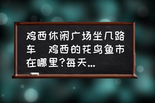 雞西休閑廣場(chǎng)坐幾路車(雞西的花鳥魚市在哪里?每天都有嗎？)