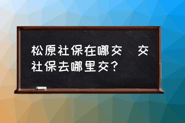 松原社保在哪交(交社保去哪里交？)