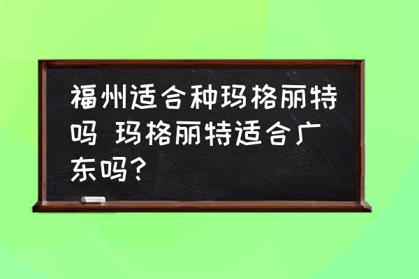 福州適合種瑪格麗特嗎 瑪格麗特適合廣東嗎？