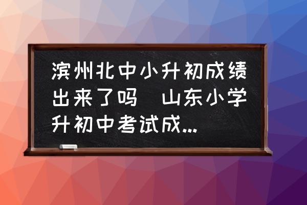 濱州北中小升初成績出來了嗎(山東小學升初中考試成績怎么查詢？)