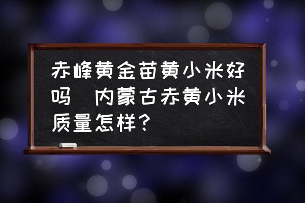 赤峰黃金苗黃小米好嗎(內(nèi)蒙古赤黃小米質(zhì)量怎樣？)
