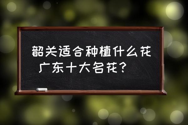 韶關適合種植什么花 廣東十大名花？