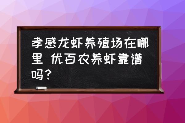 孝感龍蝦養(yǎng)殖場在哪里 優(yōu)百農(nóng)養(yǎng)蝦靠譜嗎？