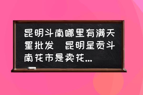 昆明斗南哪里有滿天星批發(fā)(昆明呈貢斗南花市是賣花的嗎？)