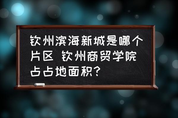 欽州濱海新城是哪個片區(qū) 欽州商貿(mào)學院占占地面積？