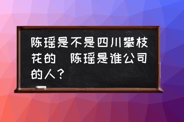 陳瑤是不是四川攀枝花的(陳瑤是誰公司的人？)