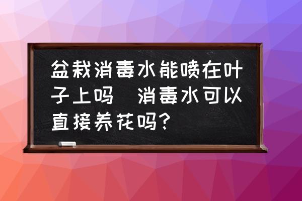盆栽消毒水能噴在葉子上嗎(消毒水可以直接養(yǎng)花嗎？)